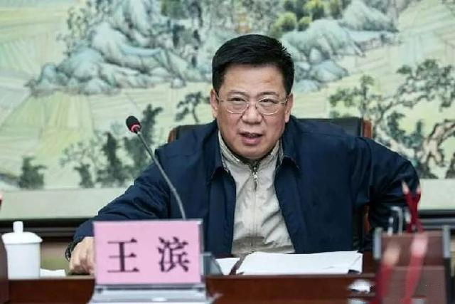 中国保险行业大老虎王滨8日被中纪委查处